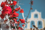 2019 Santorini-1483-P1220496