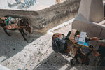 2019 Santorini-1599-P1220881