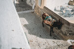 2019 Santorini-1600-P1220884