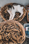 2019 Santorini-1610-P1220913