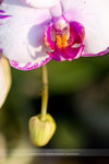 IMG_5318