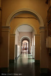 IMG_6020