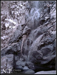 DSC03610