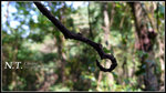 L1030881