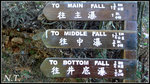 L1030908