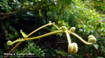 L1070407