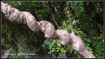 L1070450