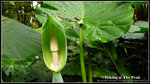 L1070581