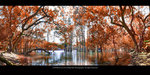 L1160601 Panorama a1
