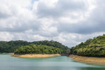 IMG_1110