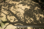 IMG_1132