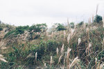 P1200805