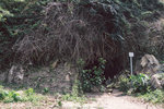 P1042878