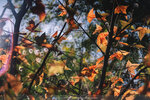 20201229-025DSC00023