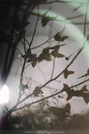 20201229-027DSC00026