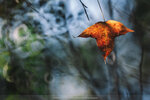 20201229-028DSC00028