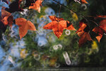 20201229-029DSC00032