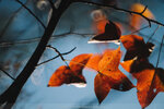 20201229-038DSC00065