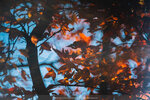 20201229-040DSC00071