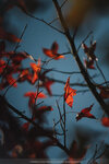 20201229-043DSC00080