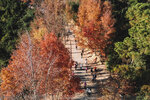 20201229-105DJI_0064