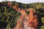 20201229-107DJI_0073
