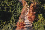 20201229-108DJI_0078