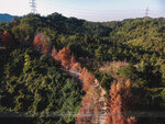 20201229-109DJI_0079