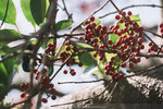 P1044835