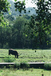 PuiO-0004