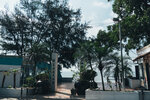PuiO-0011