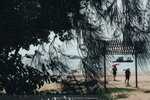 PuiO-0050