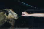 PuiO-0125