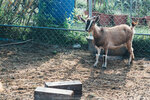 PuiO-0142