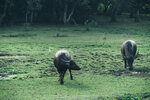PuiO-0148
