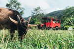 PuiO-0158