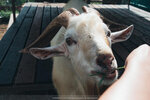 PuiO-0161