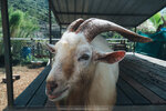 PuiO-0163