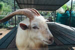 PuiO-0165