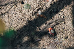 PuiO-0181