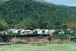 PuiO-0194