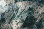 PuiO-0198