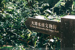 P1051029