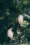 P1051069