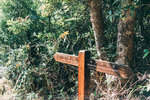 P1051083