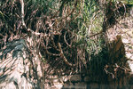 P1051116