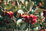 P1051120