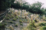 P1052157