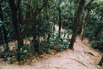 P1052197