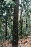 P1052206